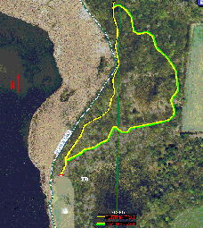 Volunteers interested in helping to clear out these trails are encouraged to call the City Office.