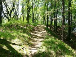 City of Grant, Michigan Park Trails